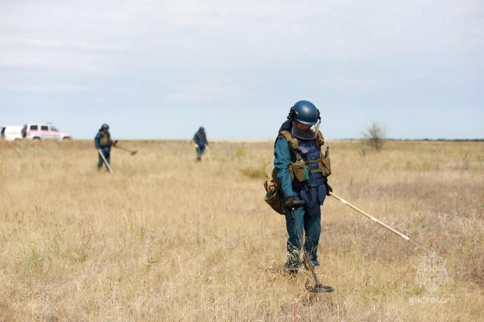 �� ����� � ��� �������� 23 ������