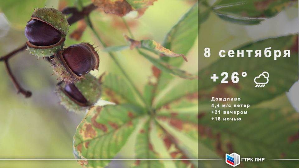 ������ ����, ��������� �������� ����������!