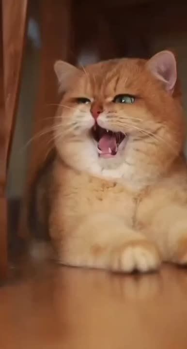 ������ � ��������� ��������� ��������, ��� ��������� ���� ����� ����� ��������� �� ������