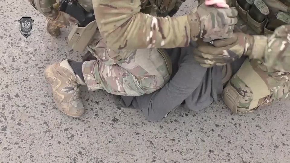  :            ,  . 276   