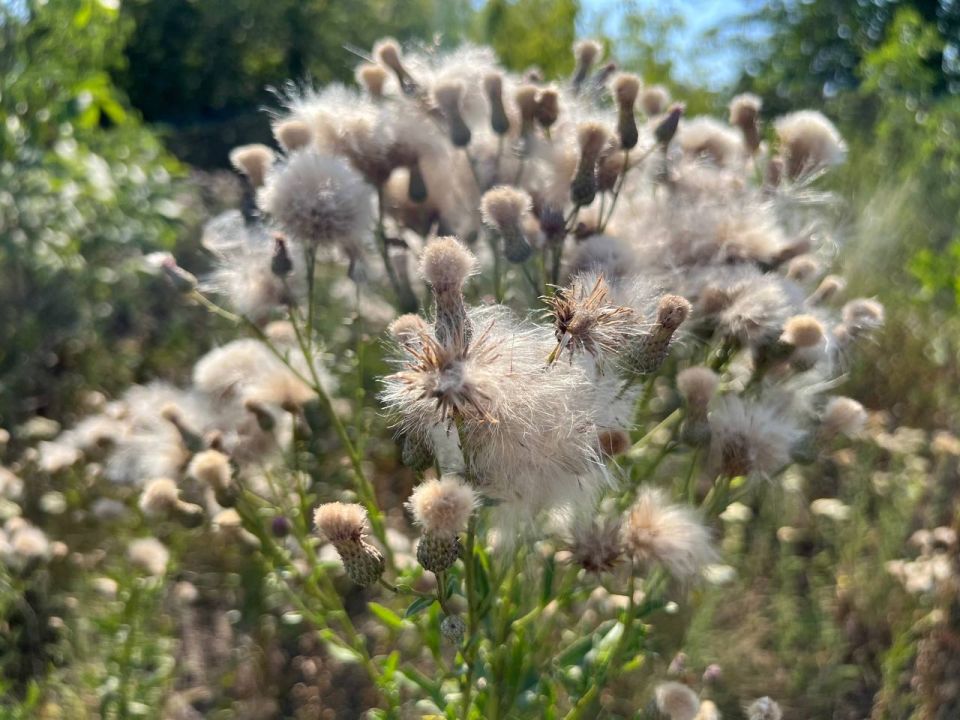 � ��� 10 �������� ������ ���������� �� +27��