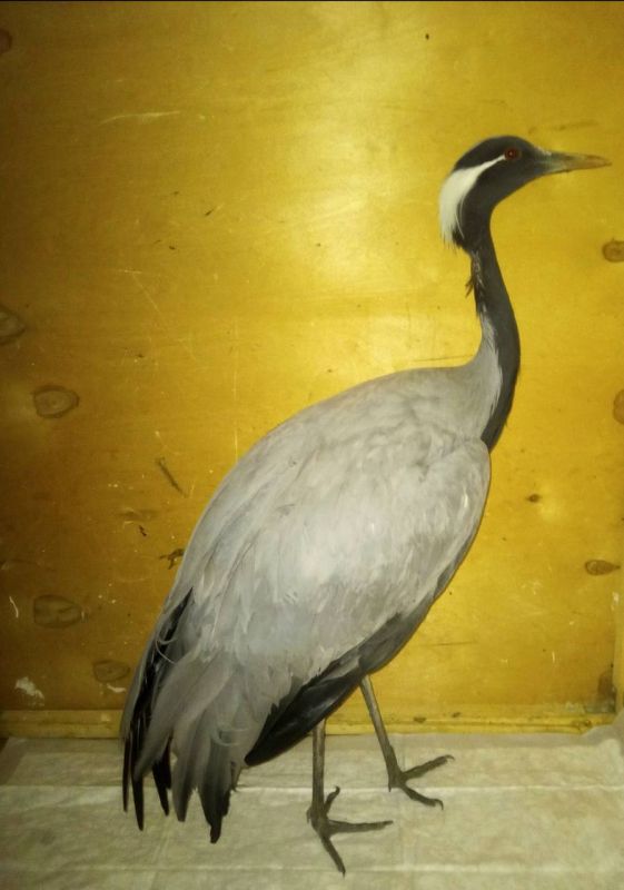 ������������� ���������� ������ � ������ ������ �������������� �������