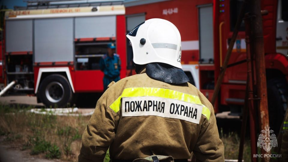 �� ����� � ��� �������� 24 ������