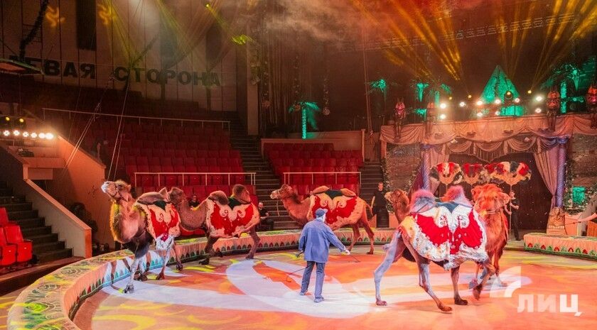 Артисты программы «Тропик шоу» проводят финальные репетиции перед премьерой