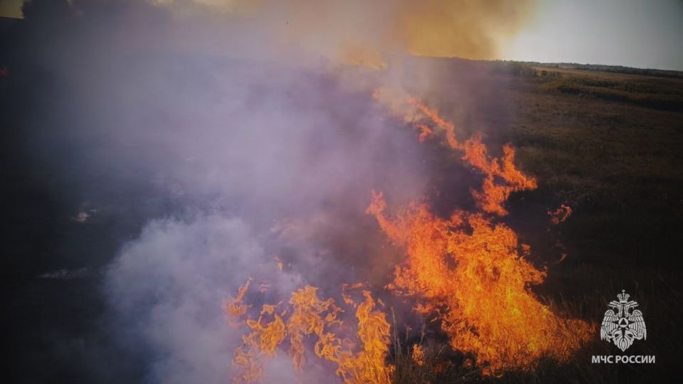 � ����������� ������ ���������� ��� �������� ������� ����������� �����