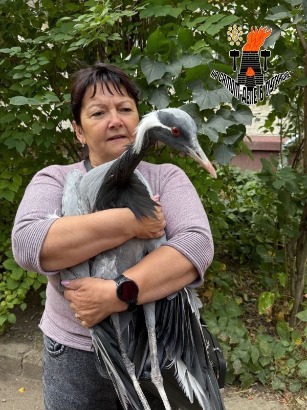 � �������� ������ ������� �������