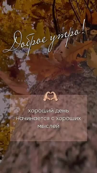 ������� � ������ � ���������� � �����