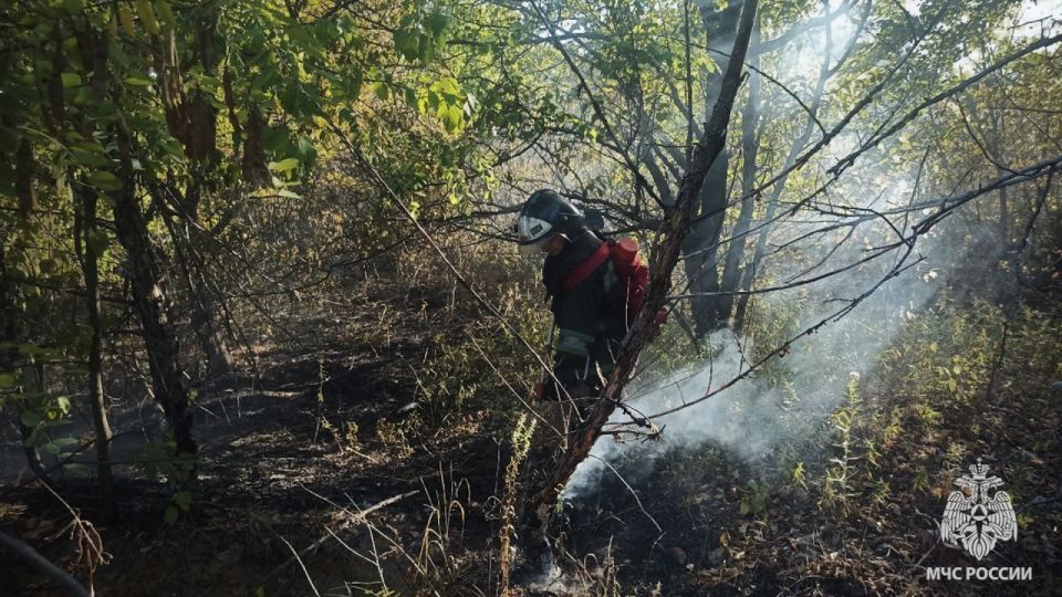 �� ����� � ��� �������� 92 ������� ��������