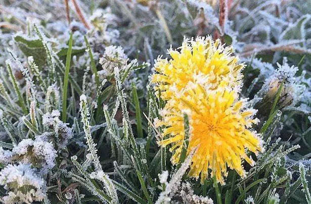 � ��� ������ ���������. � ���� � 13 �� 14 �������� � ��� ���������