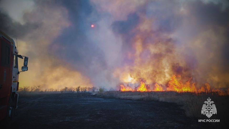 ���������� ��� �������� ������� ����� � ����������� ������ � ������ ����