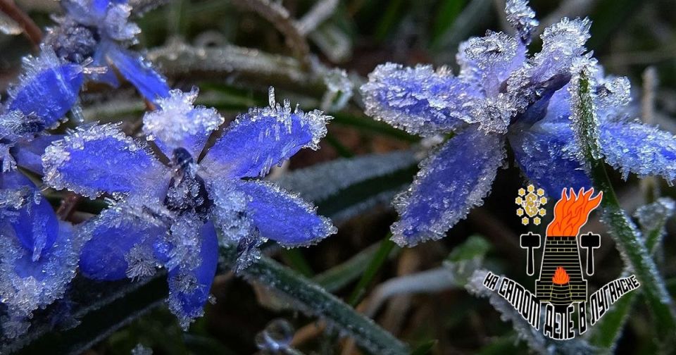 � ��� ������ ���������. ����� � ����� 13 �������� ������� �� ����������� ����� ��������� ��������� �� -2��