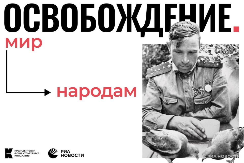 ������ � �����. � �������� ��������� �������� "������������. ��� �������"