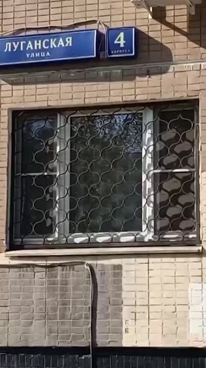 �������� � ��������� ��� �����������