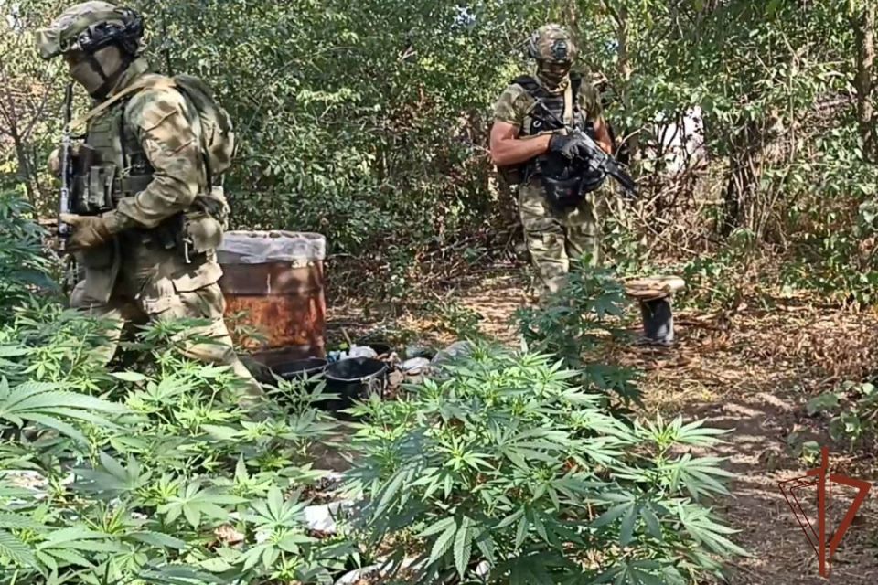 ���������� ���������� ���������������� � ���