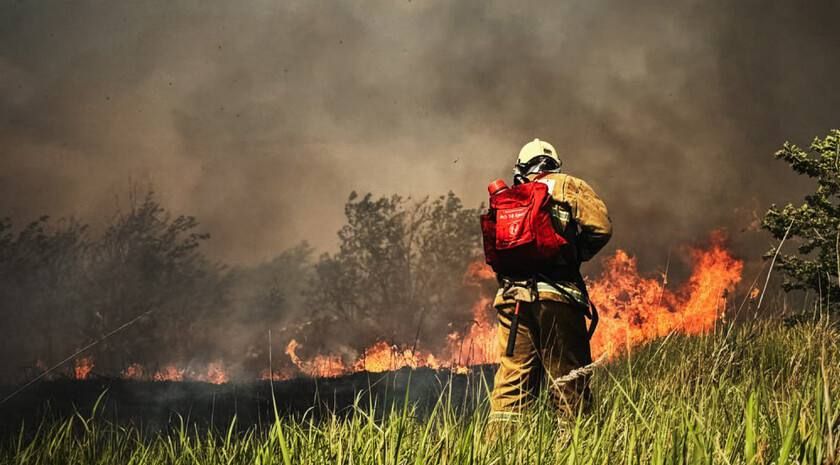 ������������ ��������������� ��������� � ����������� ������� ��� 14�15 ��������