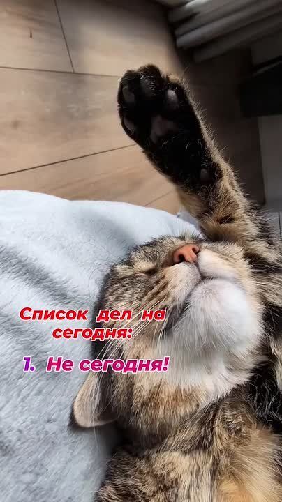 ������ �������� � �������� ����� ���