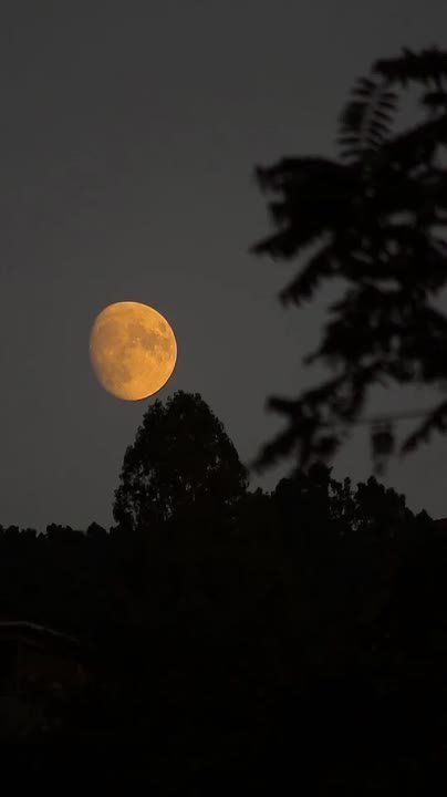 ��, ��� ���� ��� ����� ������! ��� ����� � ��� ������ ������ �, ������: ��� �� ������� �����, ���� ��������� ��, ��� ����� ����?