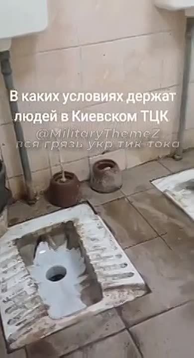 �����, � �������� �� ���������� ������� �� ���������, ���������� �������, � ������� ������ ����������� ����