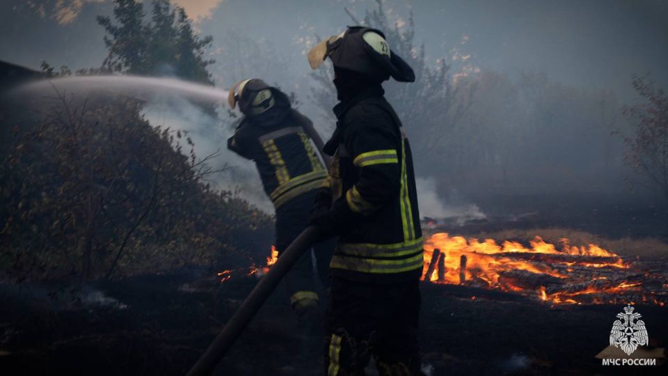 �� ����� � ��� �������� 54 ������