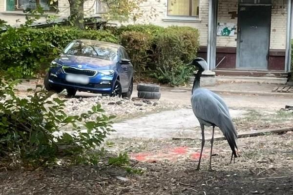 ���������� ����� ������ �� ��������� �������� ���������� ������ �������-��������, ����������� � ������� ����� ���������� ���������