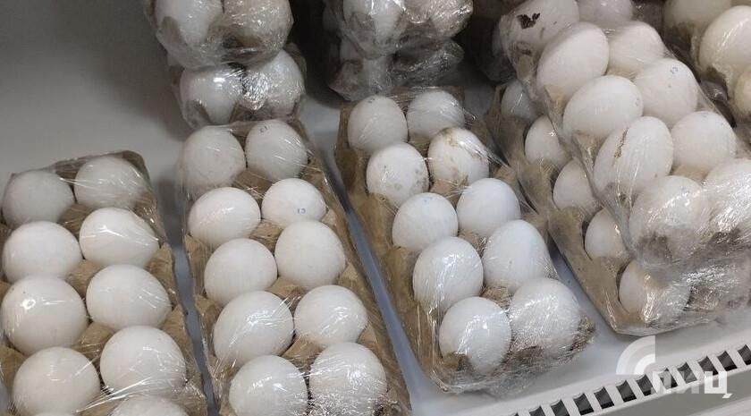 �������� ����� � ������������ ������������� ������� ��� � ��� � ������������� ����� 300 ��� ���