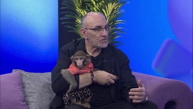 В гостях у программы «Утро Донбасса» — заслуженный артист России, руководитель знаменитой цирковой программы «Тропик шоу» Тигран Акопян