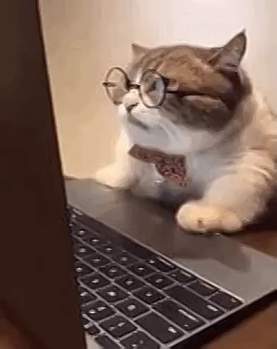 � ������ ������ ������������