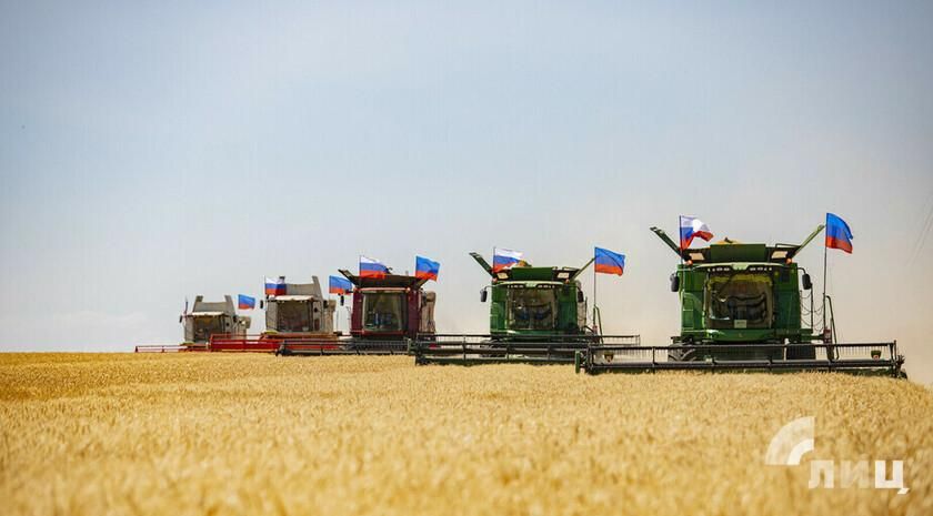 ����� ������������������� � ��� �� ��� ���� ����� �� 35% � ����������