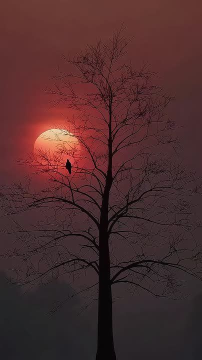 ���� ���������, ��� � ��! ������ ��������� ��������� ����-��� � ���� ���� �������