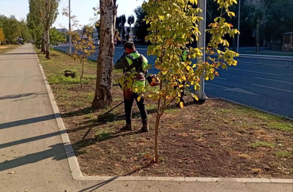 ��������� ����������� ������� ������� ����� ��������������� ��. ��������