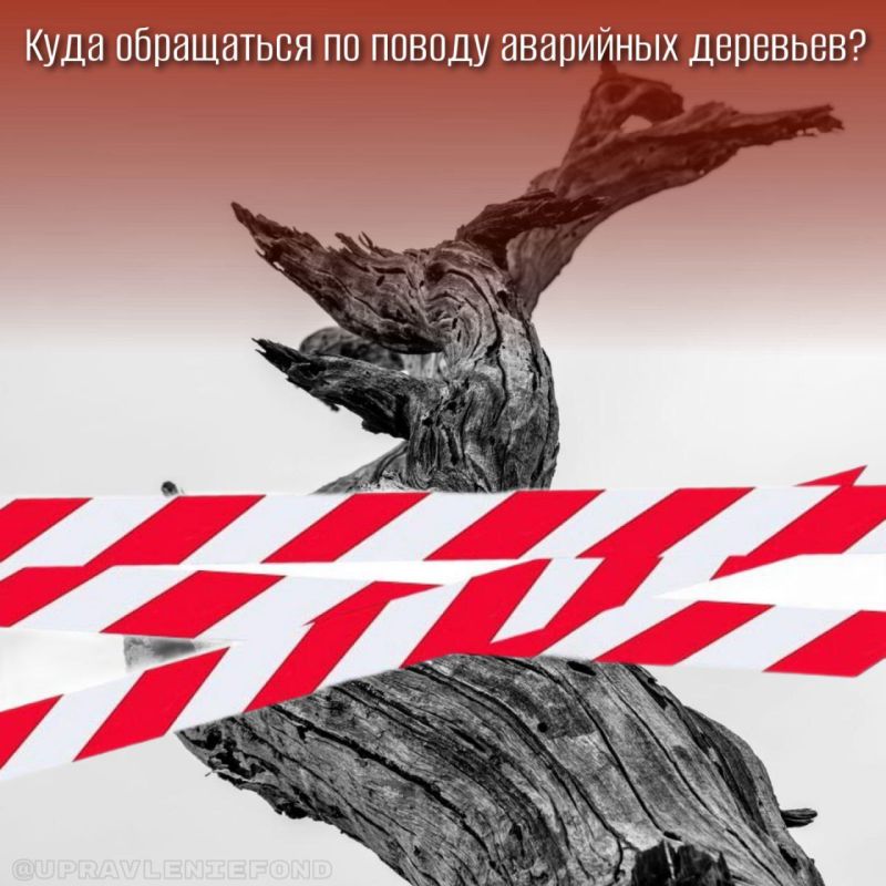 �� ������ ��������� �������� ���������� � ������������� ��������-������������ ������