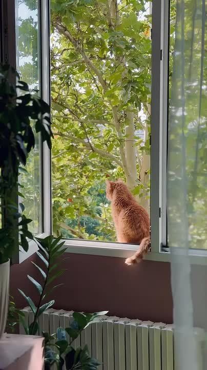 ����� �� ����, ��� �� ������, �� �������� ������ ����� ������