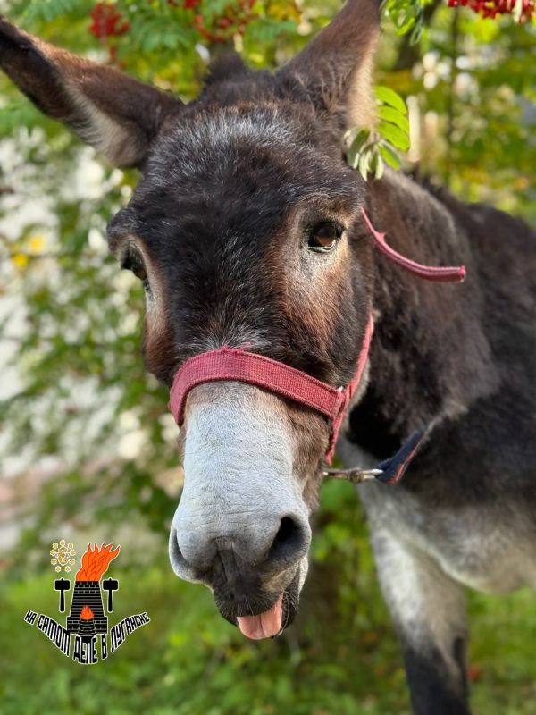 � ������� ����������� �������� � ������� ������ ��������� ����� �����, �� ����� �������� ������� �� ������