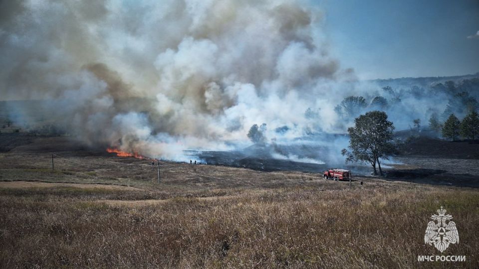 �� ����� � ��� �������� 285 �������� ����������