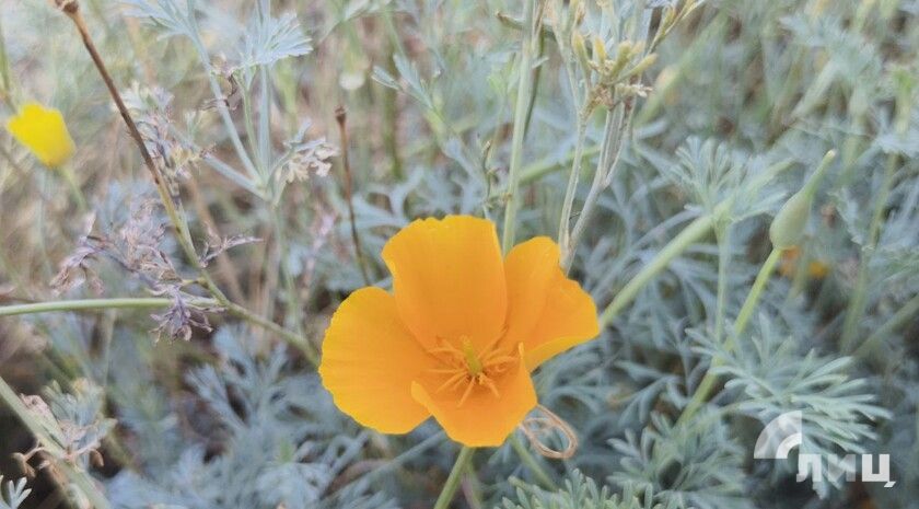 Пульс региона: чем жила Республика 15 сентября