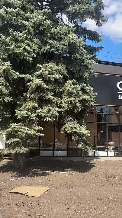 �������� ����� ������� �� ������������ � �������� (� ������ - ��������): �������� ����� ��������� �������� ����� ���������� ��������� ��� ������ � ������ �����������, � ��� ������� ����� � ������� ���, ��� �� ����� ��...