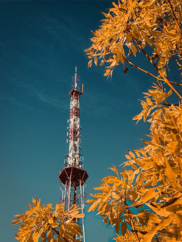 ������� ��������� �����. ��������� ���� �������� �� ������ ��������, �� � ���� �� ��������! ������ � ������������, ����� ���� �������� ������ � � �������� ��������� � ��������