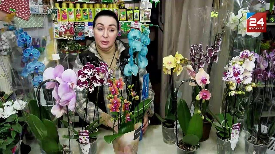 ����������� ������� � ���� �� ����� ���������� ������� �������