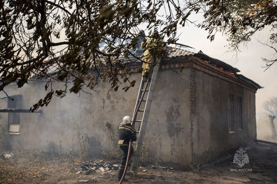 �� ����� � ��� �������� 55 �������