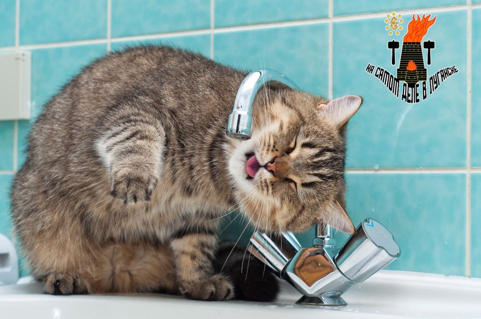 ������ �������� ����� ����� ��� ����