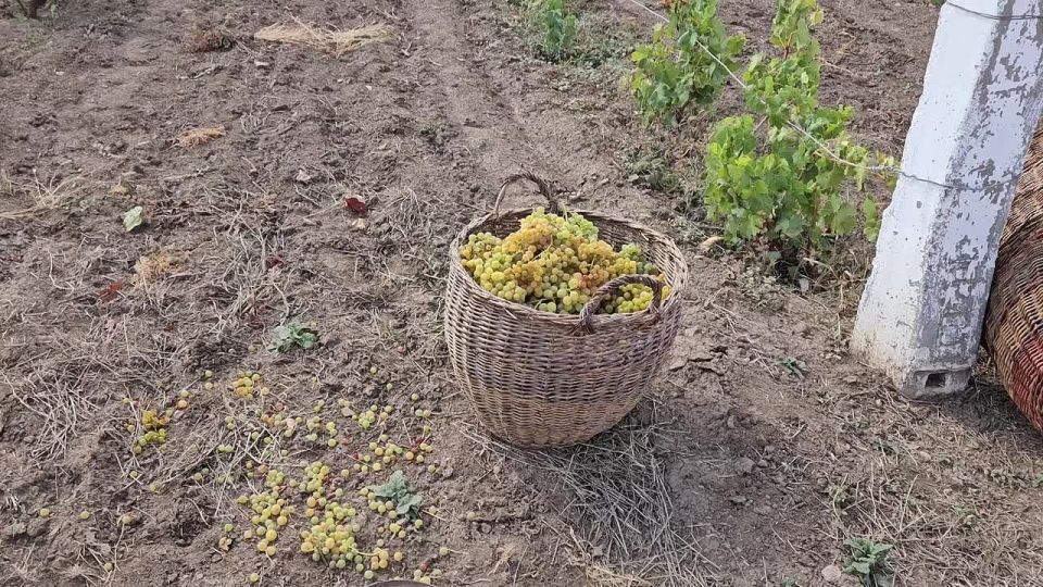 �������� ���������� ������ ���� ������ - ����������� ������ ��������� ������� ���������� ����� ���������� ���� ������ ����