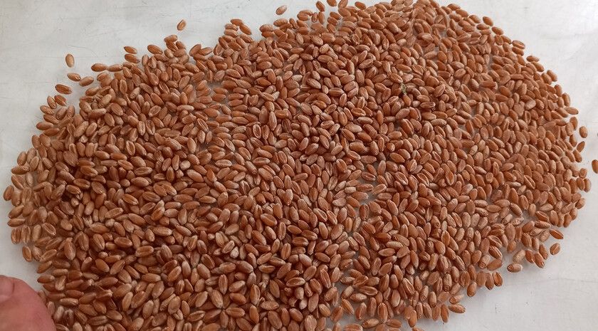 ��������� ������ � ��������������� ������ �������� ��������� ��������� � ���