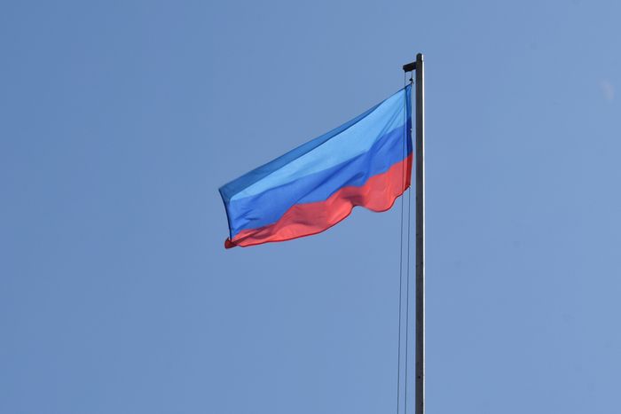 ВС России продвигаются вперёд после освобождения Серебрянского лесничества в ЛНР