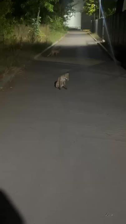 � ���������� ��� ����������, ��� ����� ���� � ������ ������� � ����� � ���������� ������