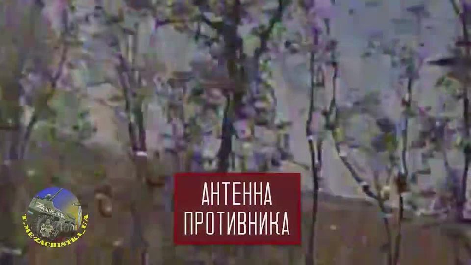 ���� ��������� ������ ���������� ������������ ����� ������ �� �������� ���������� ����� �� �������!