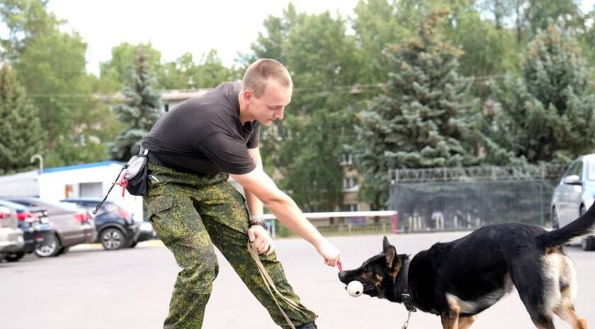 ��������� ������ ��������� ������� � ����� � ���������� ����������� �� �������� � ������ � ������