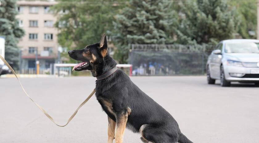 ��������� ������� ��������� ���������� ��������� ����� �� �������