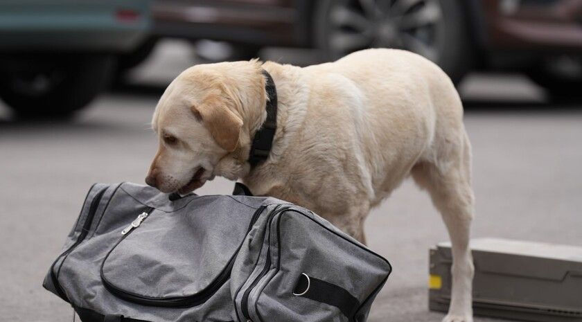 ������� ��������� ������� ��������� ��� � ���������� ����� � ���������� ��� �����������