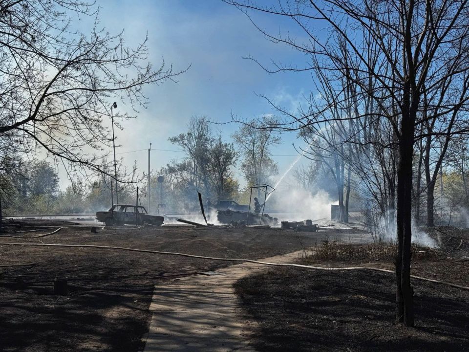 ����������� ������� � ��������: ��� ��������� �������� � ���, ������� ��� ��������