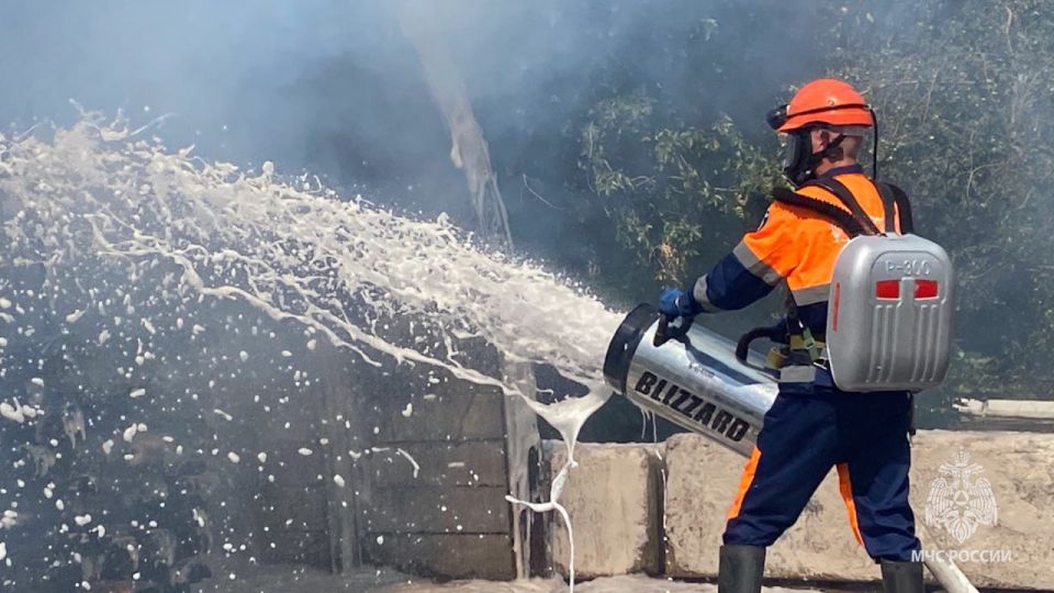 �� ����� � ��� �������� 11 �������